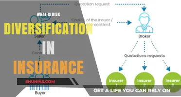 Understanding Risk Diversification in Insurance