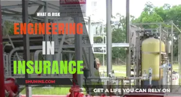 Risk Engineering: Optimizing Insurance with Data-Driven Strategies