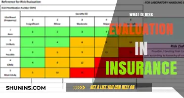 Risk Evaluation: Insurance's Vital Step