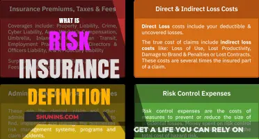 Understanding Risk Insurance: Definition and Importance