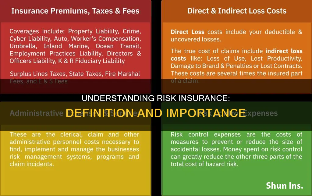 what is risk insurance definition
