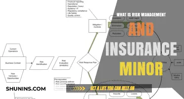 Understanding Risk Management and Insurance Fundamentals