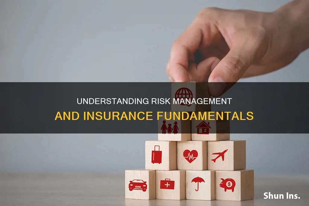 what is risk management and insurance minor