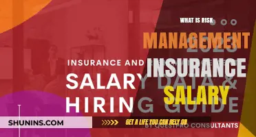 Risk Management Insurance: Salary Insights