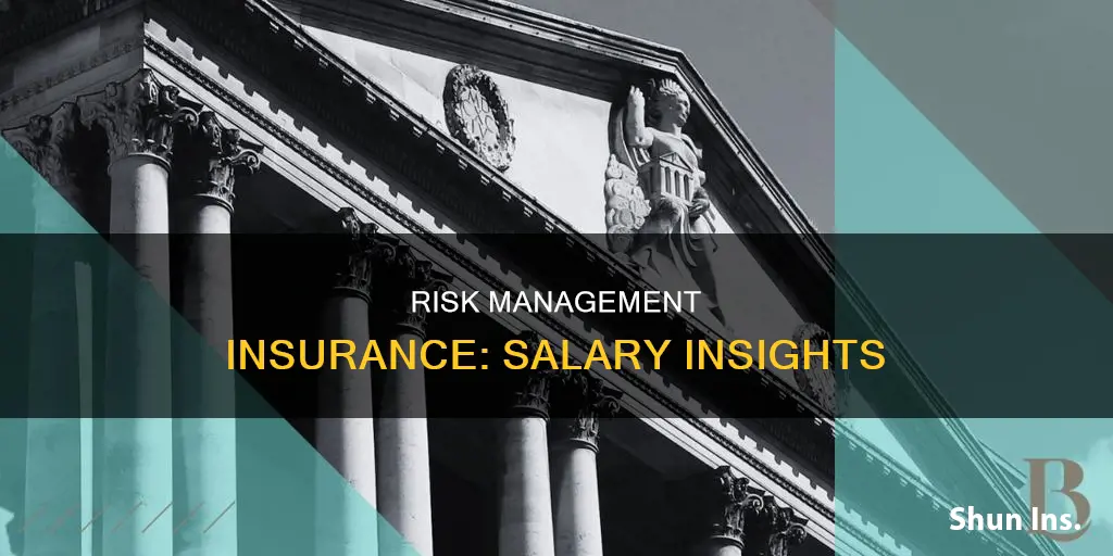 what is risk management insurance salary