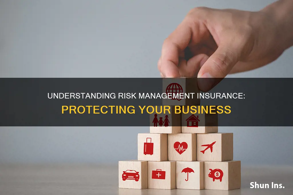 what is risk management insurance