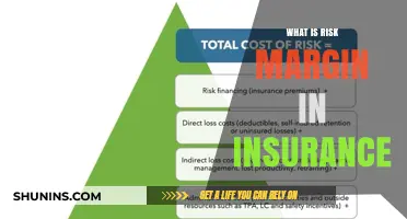 Understanding Insurance: Risk Margins Explained
