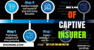 Captive Insurers: Risks and Rewards