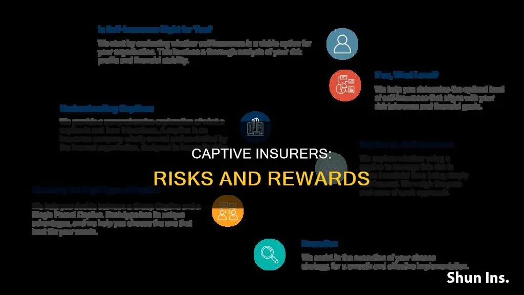 what is risk of captive insurer