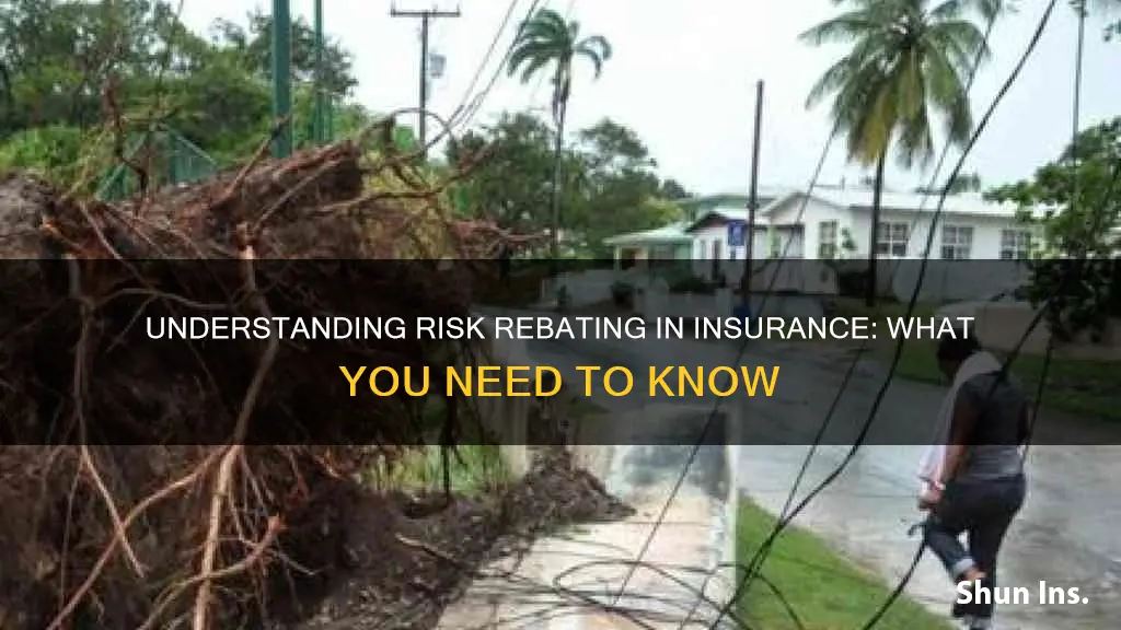what is risk rebating in insurance