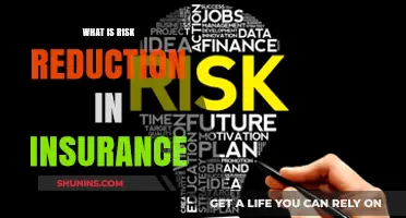 Understanding Risk Reduction: Insurance's Vital Role