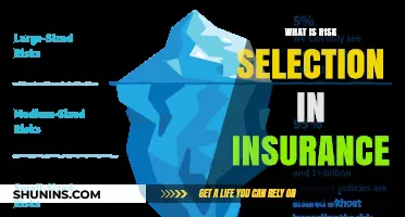 Risk Selection: Insurers' Art of Choosing Customers