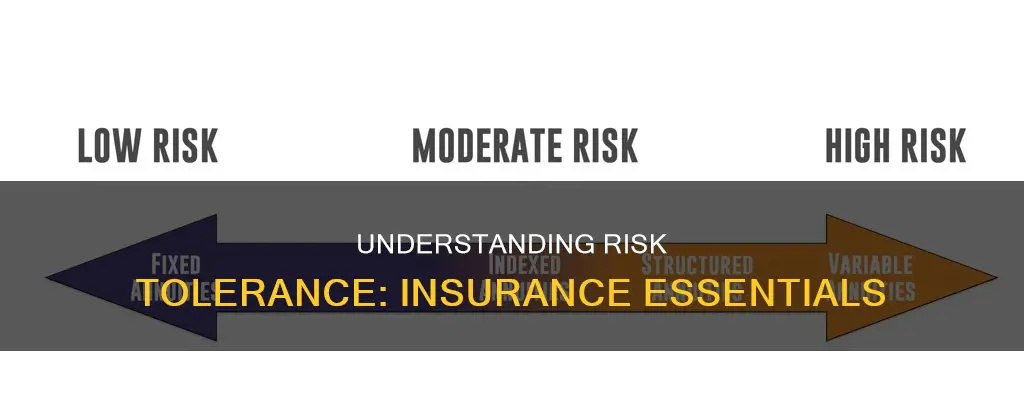 what is risk tolerance in insurance