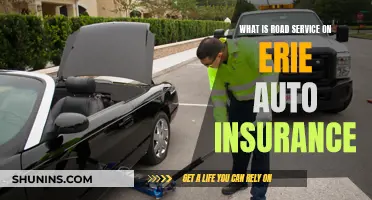 Erie Auto Insurance: Road Service Explained