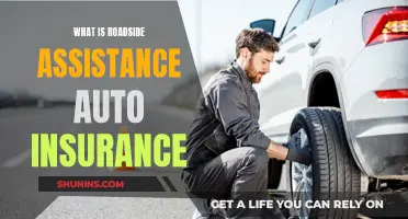 Roadside Assistance Auto Insurance: What You Need to Know