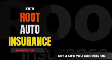 Auto Insurance: Root's Unique Coverage Explained