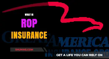 Understanding ROP Insurance: Benefits, Costs, and Coverage Explained