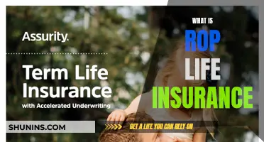 Rop Life Insurance: Understanding the Unique Benefits