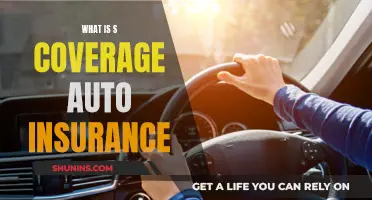 Understanding S Coverage: Auto Insurance Basics Explained