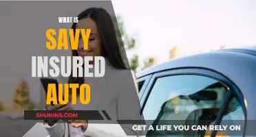 Auto Insurance Simplified: Savvy and Insured