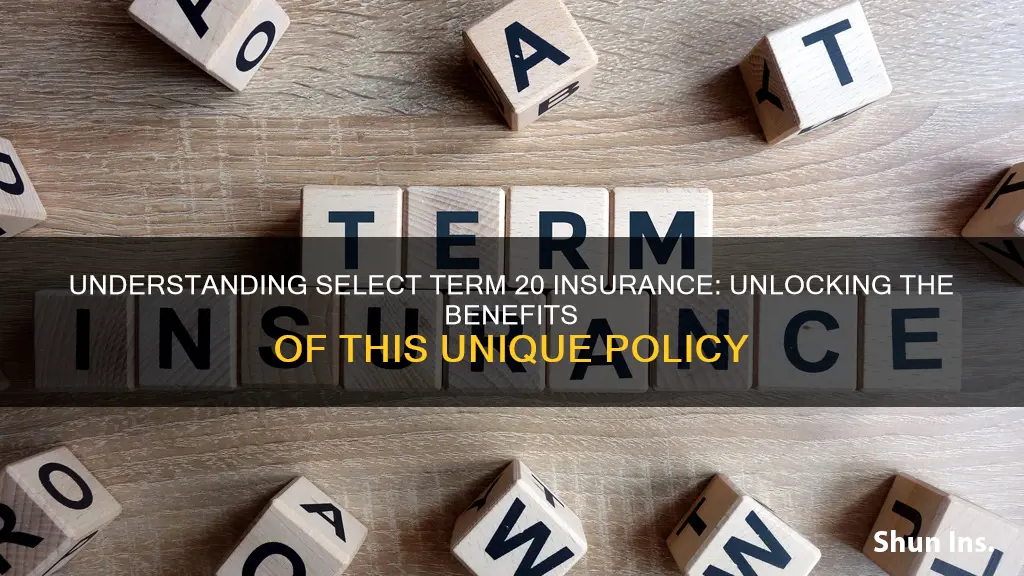 what is select term 20 insurance