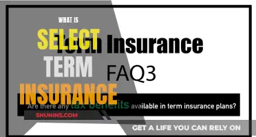 Understanding Select Term Insurance: Tailored Coverage for Peace of Mind