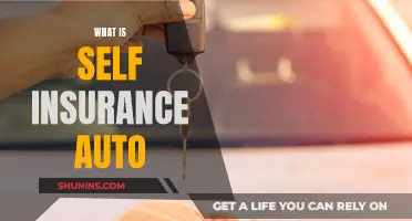 Understanding Self-Insurance Auto: Is It Right for You?