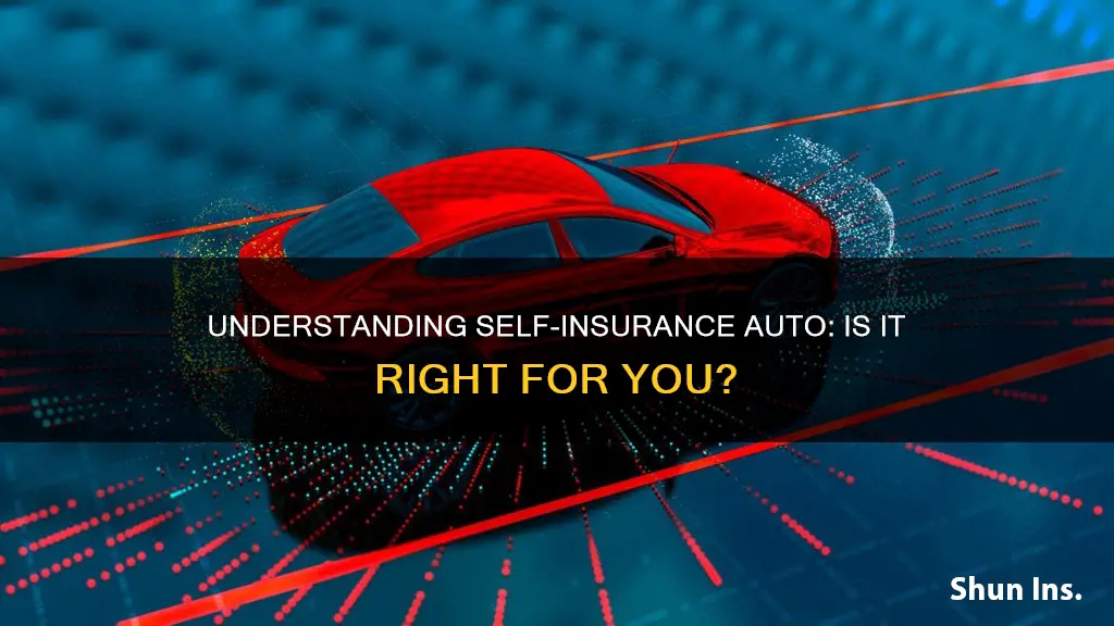 what is self insurance auto