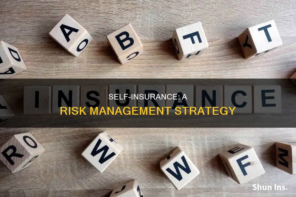 what is self insurance in terms of risk management