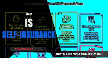Understanding Self-Insurance: A Comprehensive Guide to Managing Your Own Risks