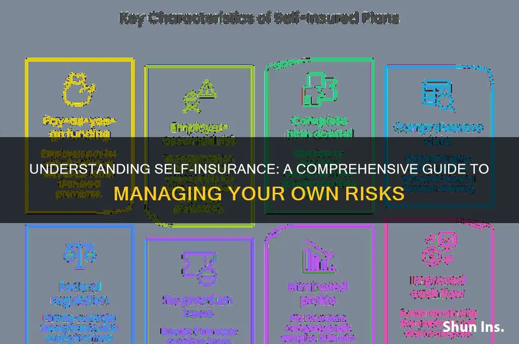 what is self-insurance