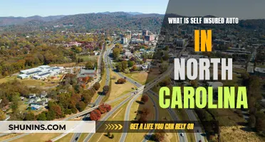 Self-Insured Auto: Understanding North Carolina's Unique System