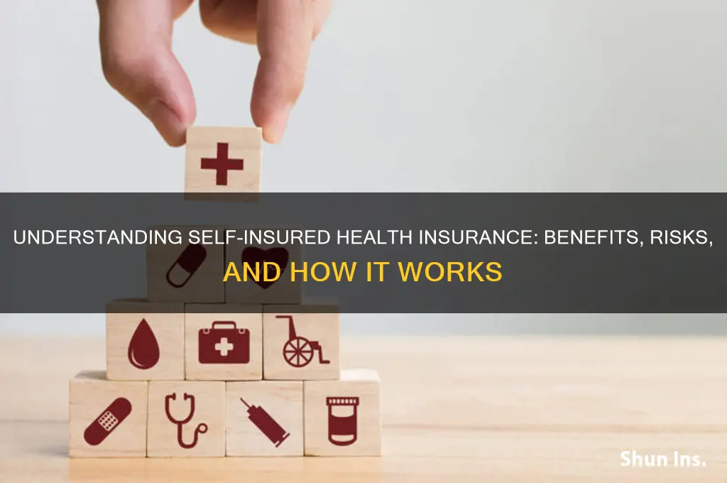 what is self insured health insurance
