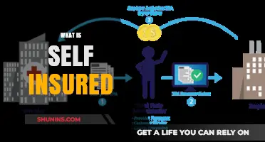 Understanding Self-Insured Plans: Benefits, Risks, and How They Work