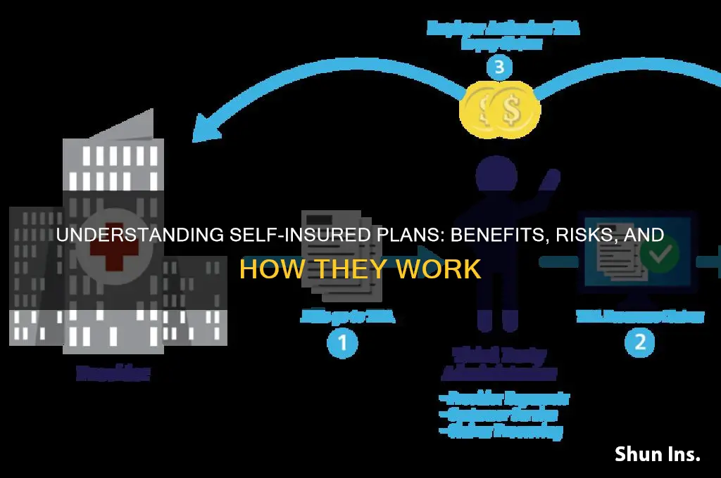 what is self insured