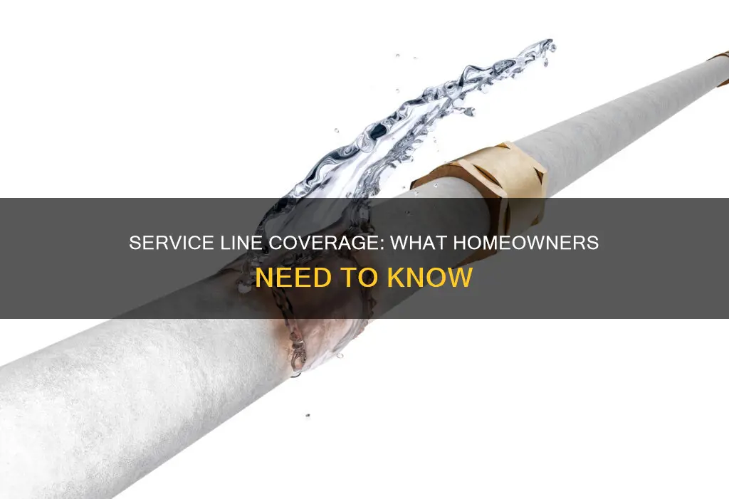 what is service line coverage on homeowners insurance