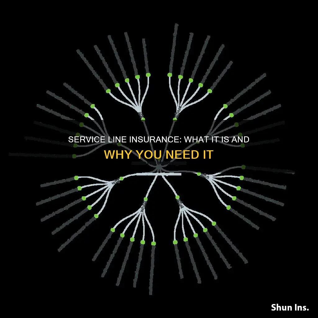 what is service line insurance