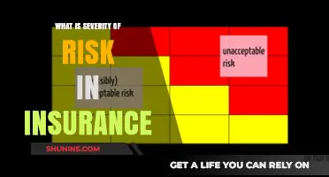 Understanding Risk Severity: Insurance Essentials