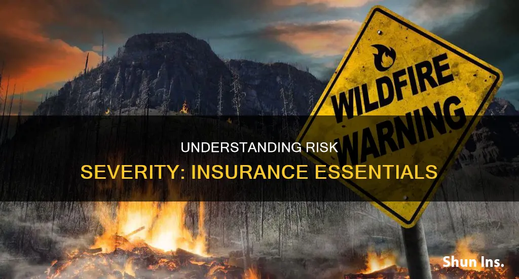 what is severity of risk in insurance