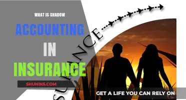 Shadow Accounting: Insurance's Secret Weapon