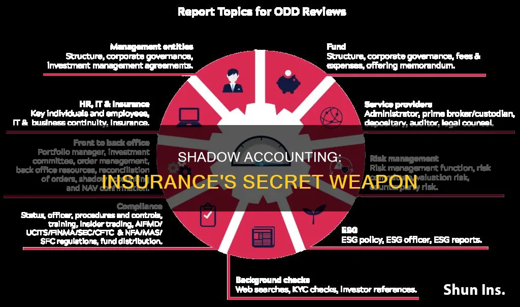 what is shadow accounting in insurance