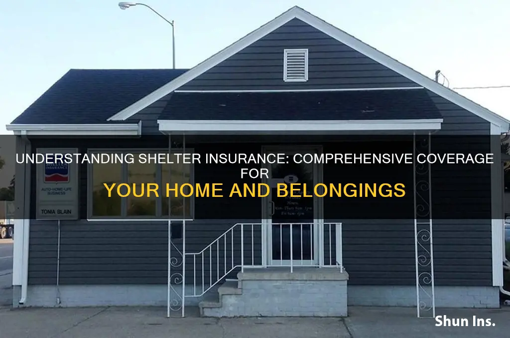 what is shelter insurance