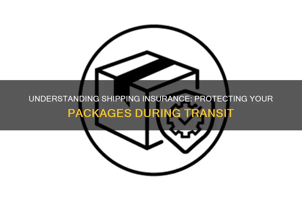 what is shipping insurance