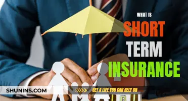 Understanding Short-Term Insurance: Temporary Coverage, Long-Term Peace of Mind