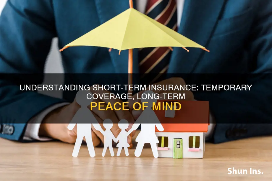 what is short term insurance