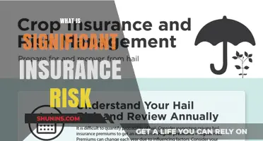 Understanding the Significance of Insurance Risk