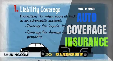 Auto Coverage Insurance: Single Protection for Your Vehicle