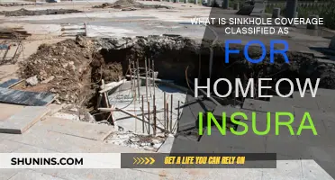 Understanding Sinkhole Coverage in Your Homeowners Insurance Policy