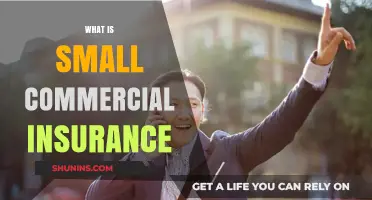 Small Business, Big Protection: Commercial Insurance Explained
