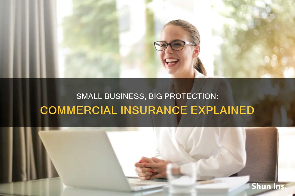 what is small commercial insurance